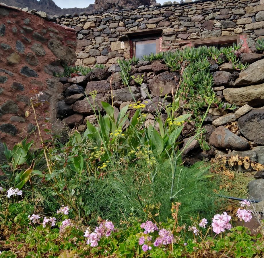 randonnée gran canaria