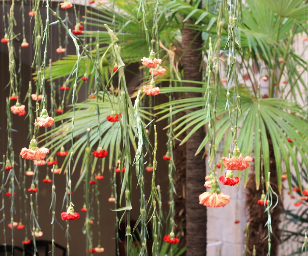 fête des fleurs Gérone